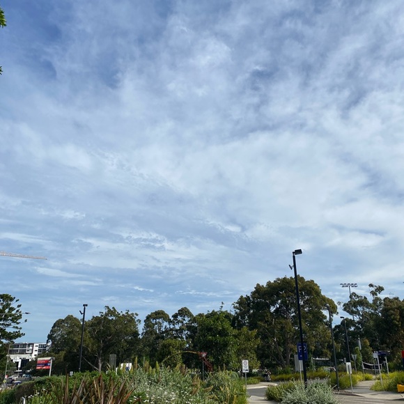 Meet your Posher, Michelle - Picture 1 of 1